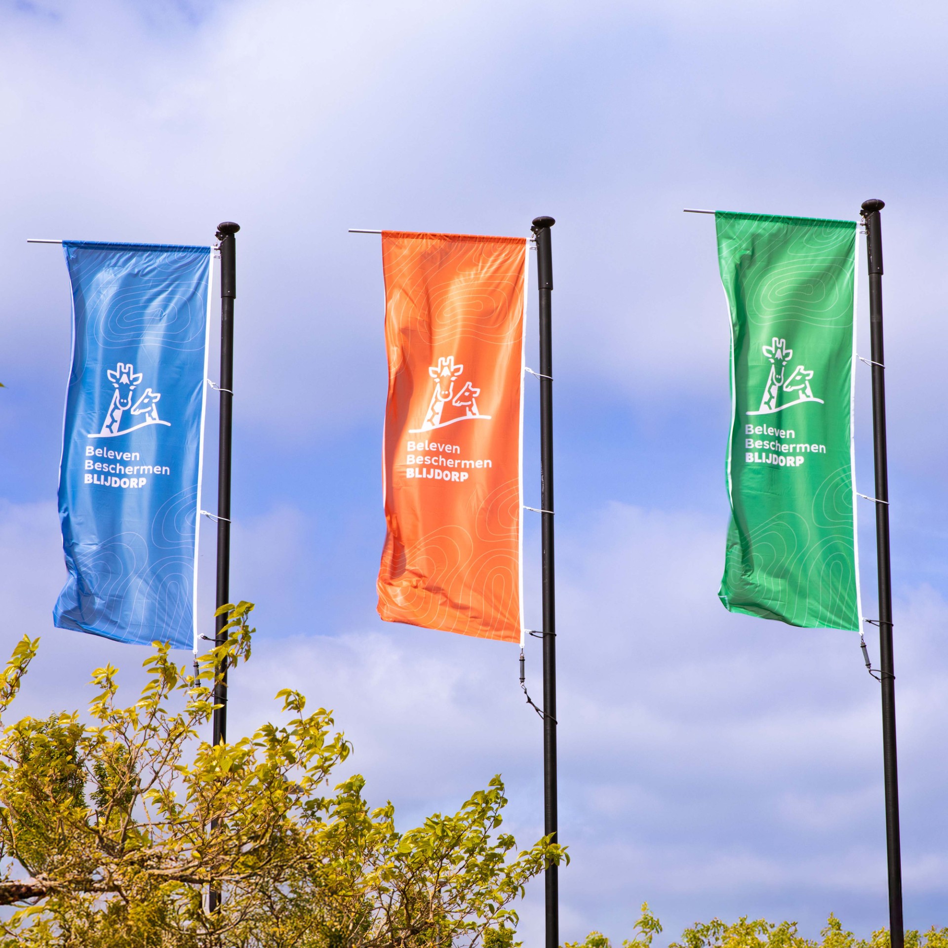 Flag CiCLO®