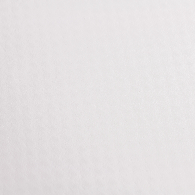 Banner 510